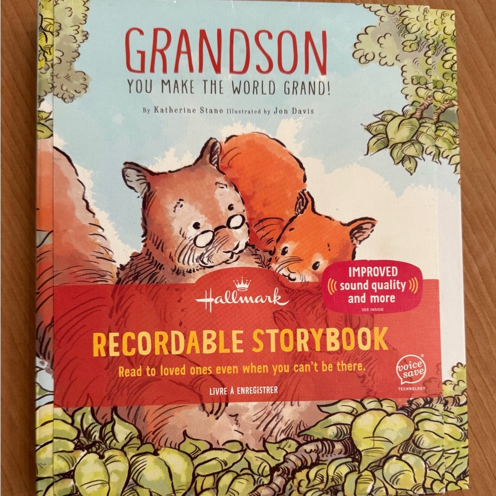 Hallmark Red and Green Storybook Grandson Edition
